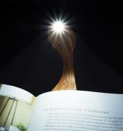 Připínací lampička na knihu Flexilight Wood